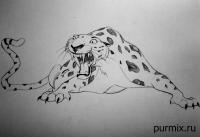 Фото леопарда Сабора из Тарзана простым карандашом