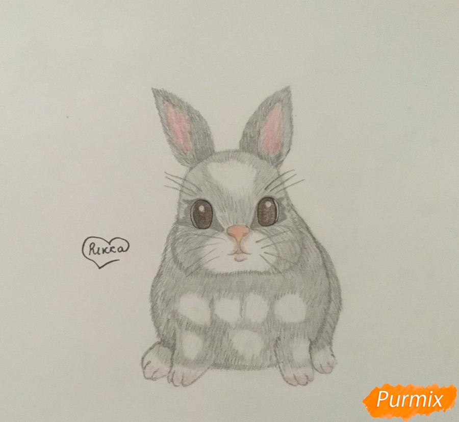 Рисуем маленького крольчонка - шаг 5