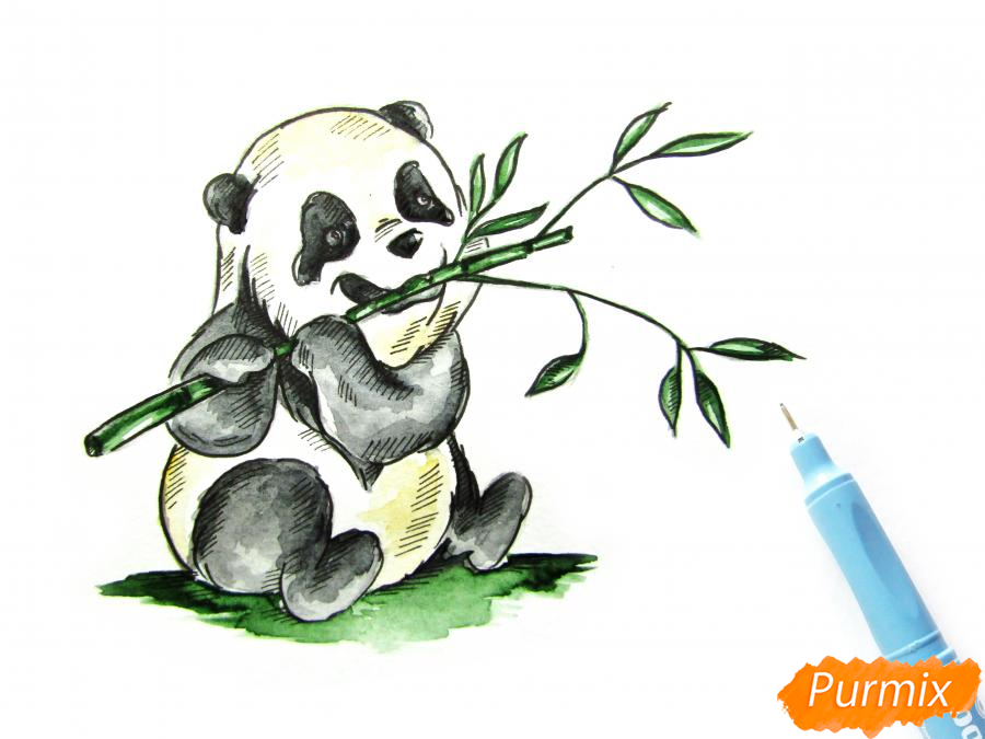 Рисуем панду с бамбуком акварелью - шаг 8