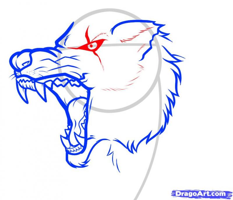 Рисуем голову злого волка - шаг 9