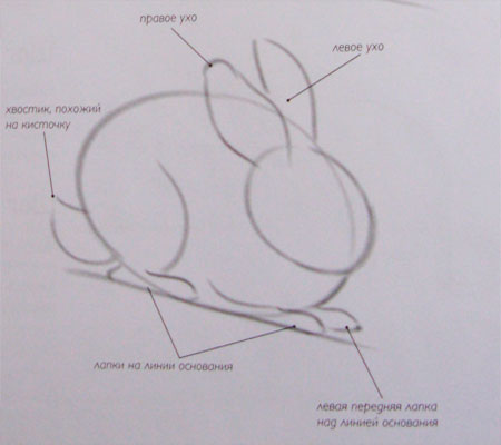 Рисуем кролика карандашами - шаг 2