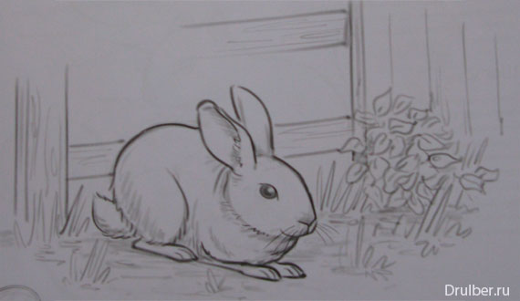 Рисуем кролика карандашами - шаг 4