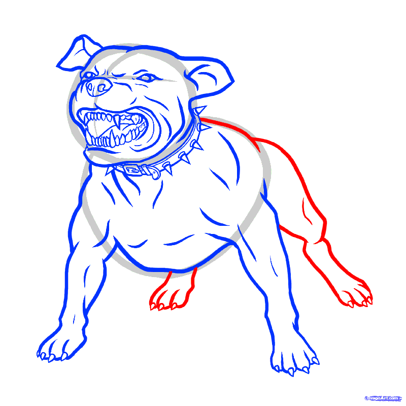 Как нарисовать собаку карандашом поэтапно? Рисуем собаку легко и просто | Рисунки для срисовки