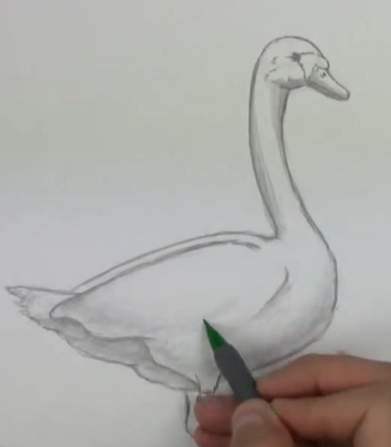 Как нарисовать гуся для детей