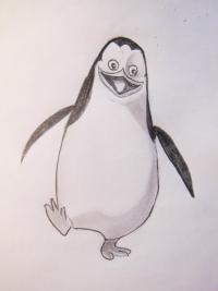 Фото пингвина Рядового из Мадагаскара