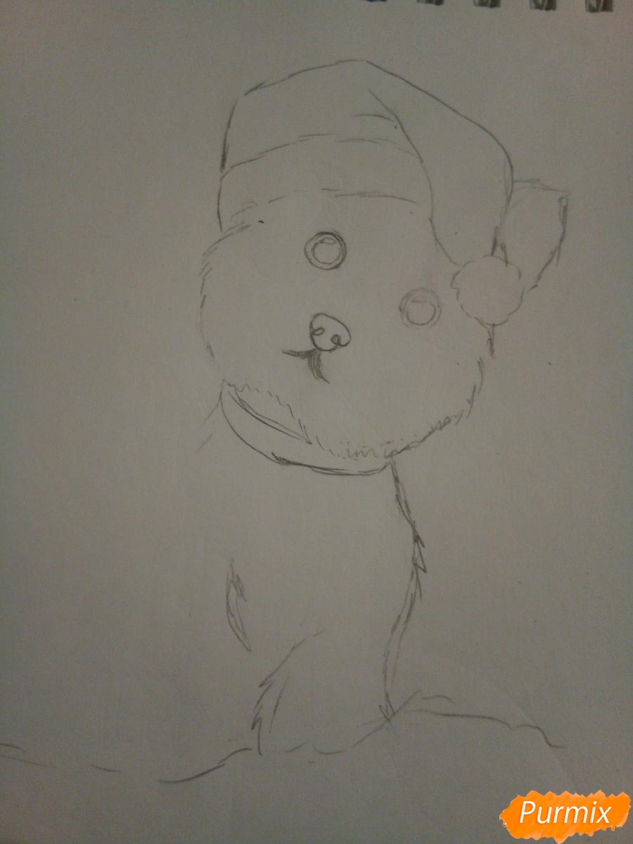 Рисуем новогоднего щеночка породы йоркширский терьер в шапочке - шаг 4