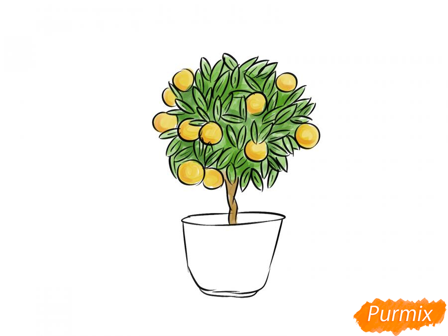 Рисуем абрикосовое дерево - шаг 8