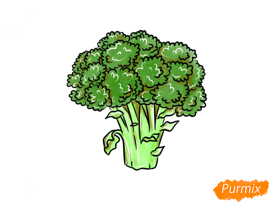 Рисуем брокколи  и красками - шаг 10