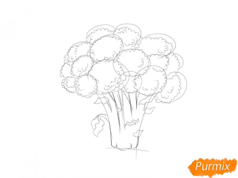 Рисуем брокколи  и красками - шаг 5