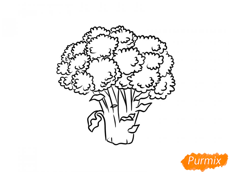 Рисуем брокколи  и красками - шаг 7