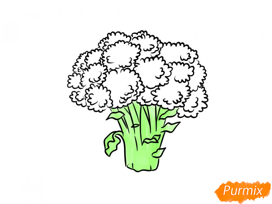 Рисуем брокколи  и красками - шаг 8