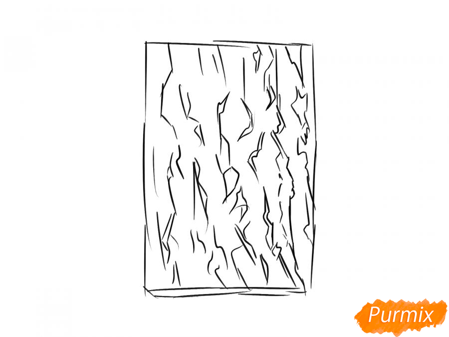 Рисунок коры дерева