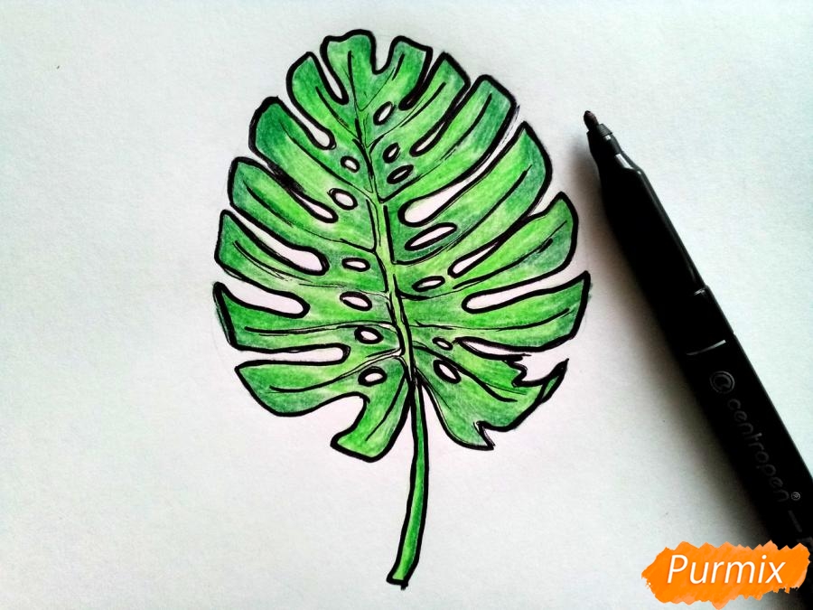 Рисуем лист пальмы карандашами - шаг 5