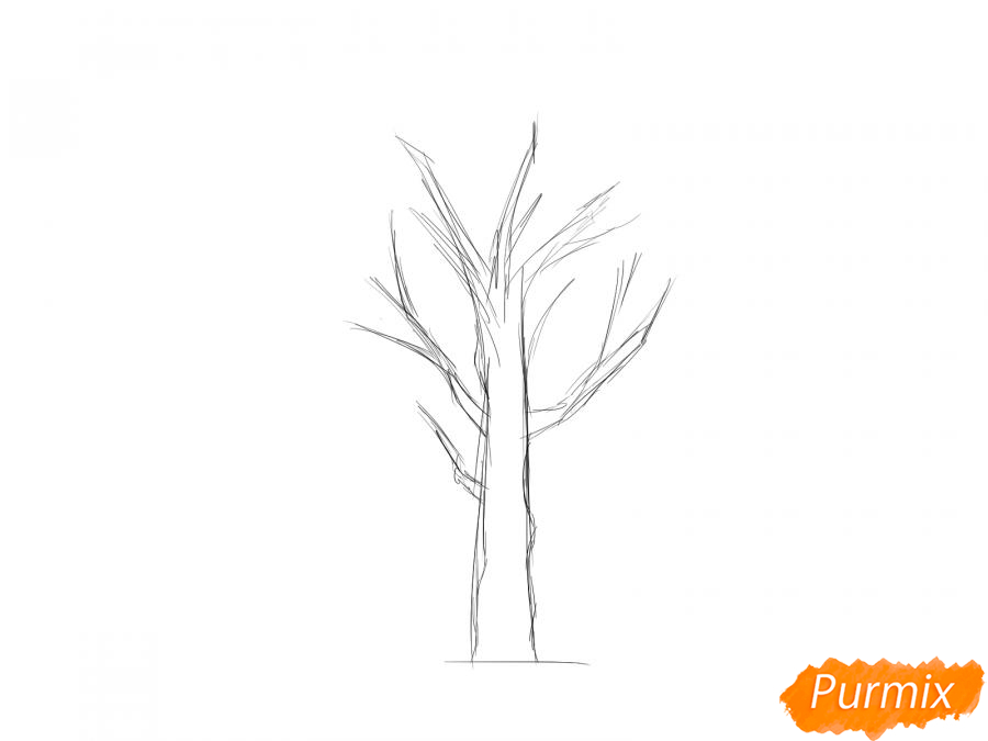 Рисуем сухое дерево абрикоса - шаг 2