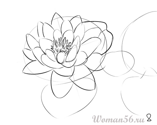 Рисуем цветок лотос - шаг 8