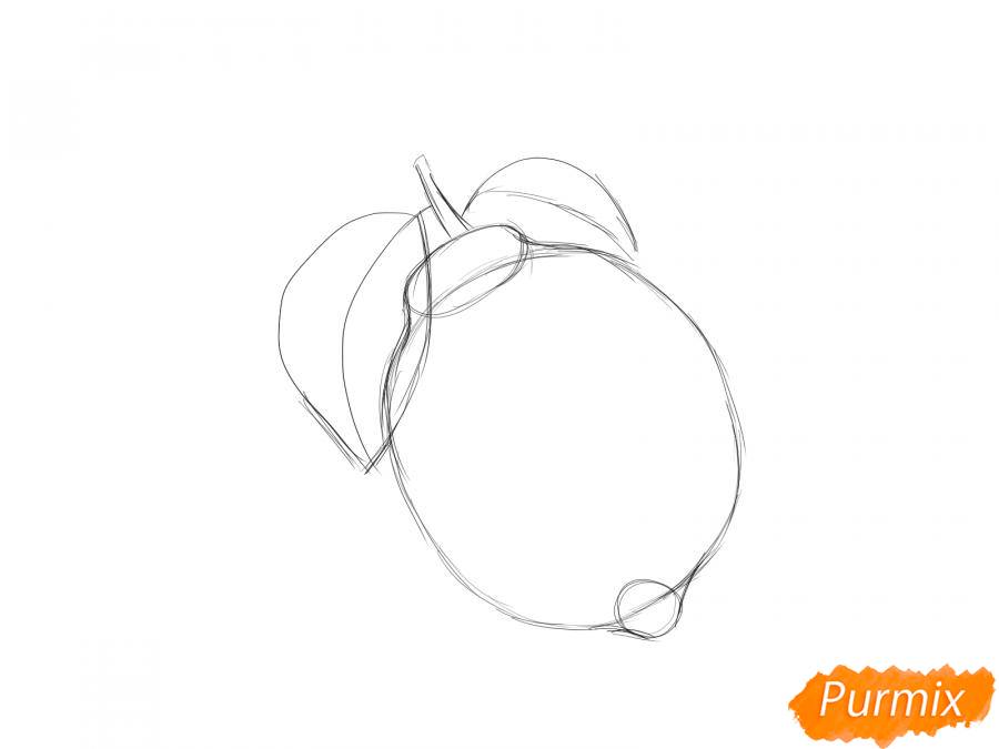 Рисуем целый лимон - шаг 3