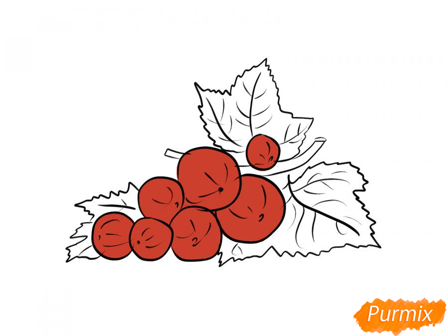 Рисуем красную смородину - шаг 5