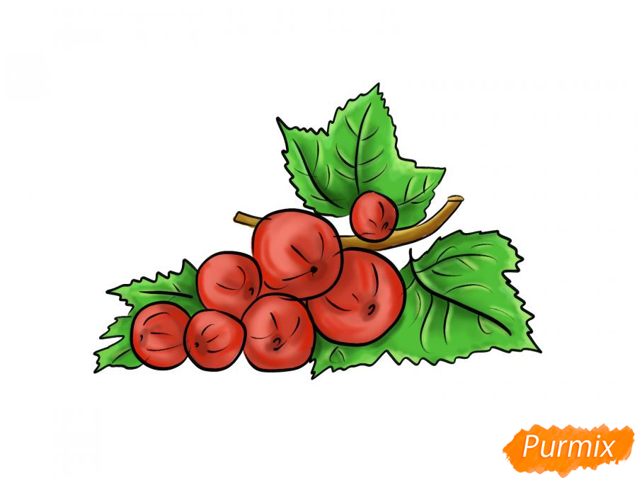 Рисуем красную смородину - шаг 9