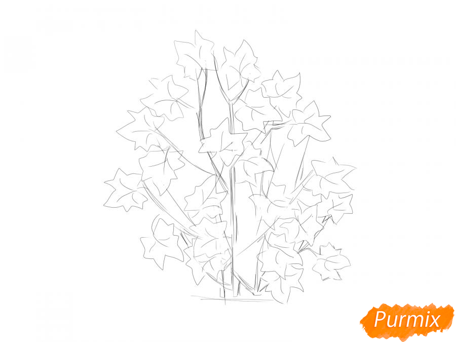 Рисуем куст смородины - шаг 2