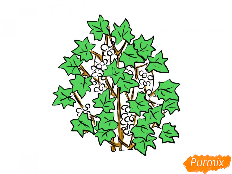 Рисуем куст смородины - шаг 6