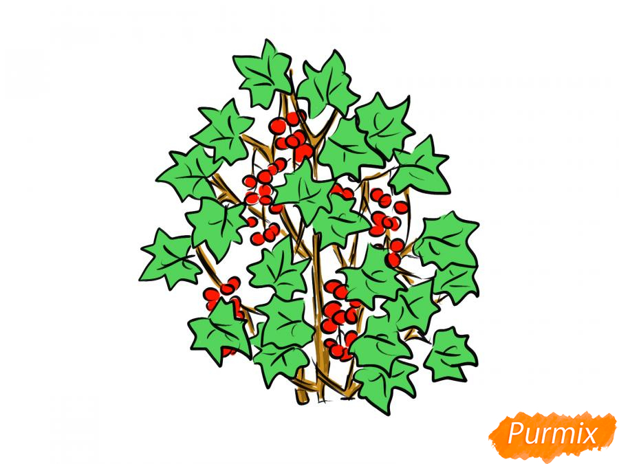 Рисуем куст смородины - шаг 7