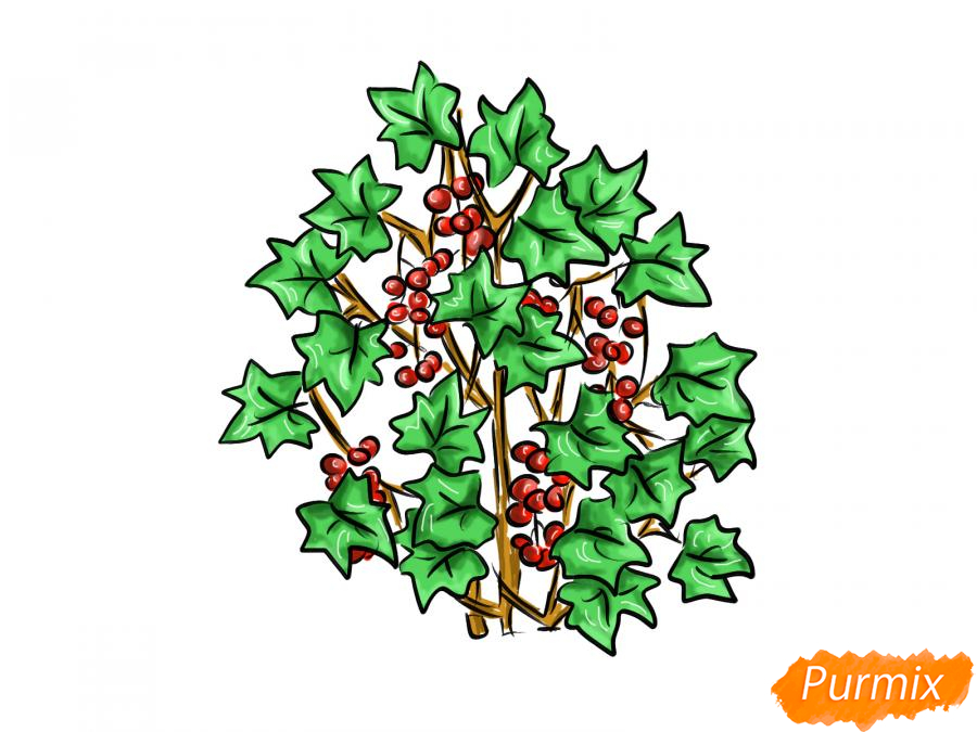 Рисуем куст смородины - шаг 9
