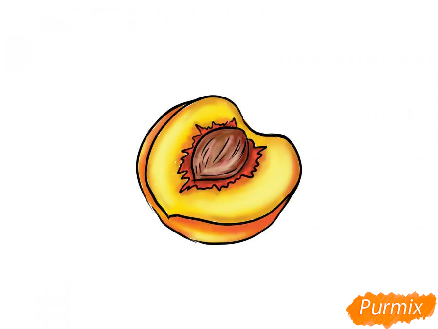 Рисуем персик в разрезе - шаг 9