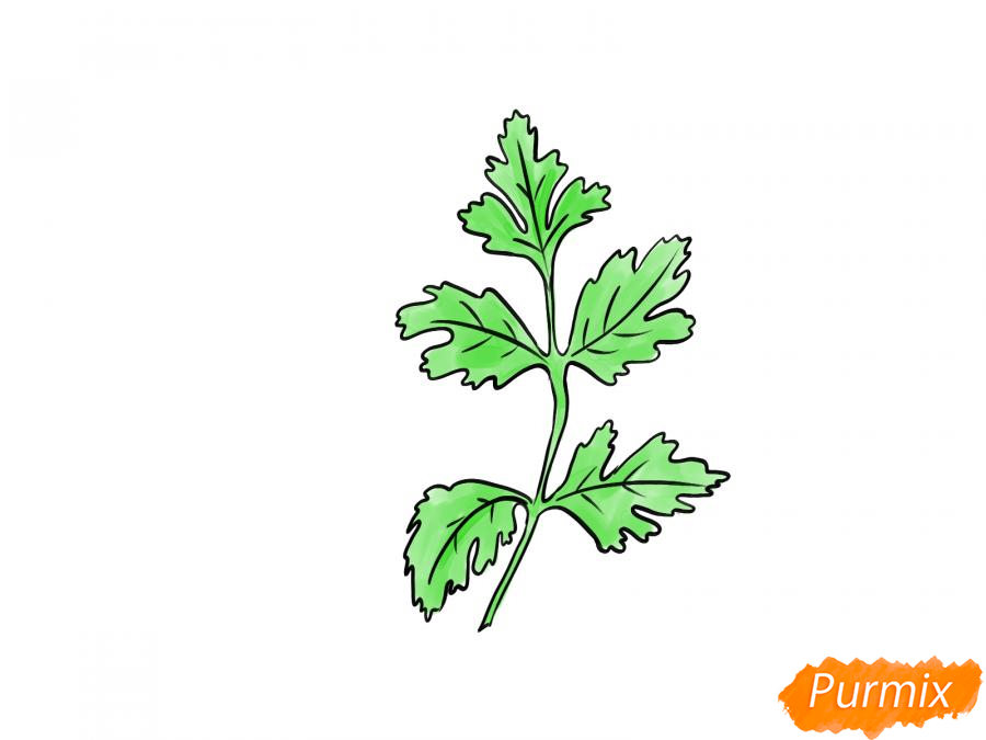 Рисуем петрушку зелень - шаг 6