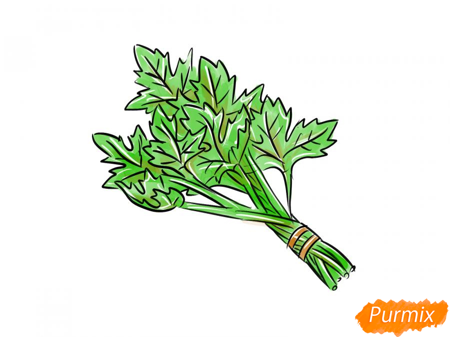 Рисуем пучок петрушки - шаг 8