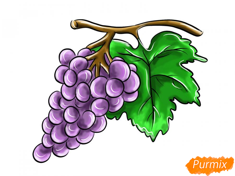Рисуем ветку с ягодами винограда - шаг 10