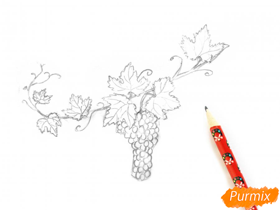 Рисуем виноградную лозу акварелью - шаг 4