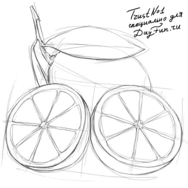 Рисуем разрезанный лимон - шаг 3