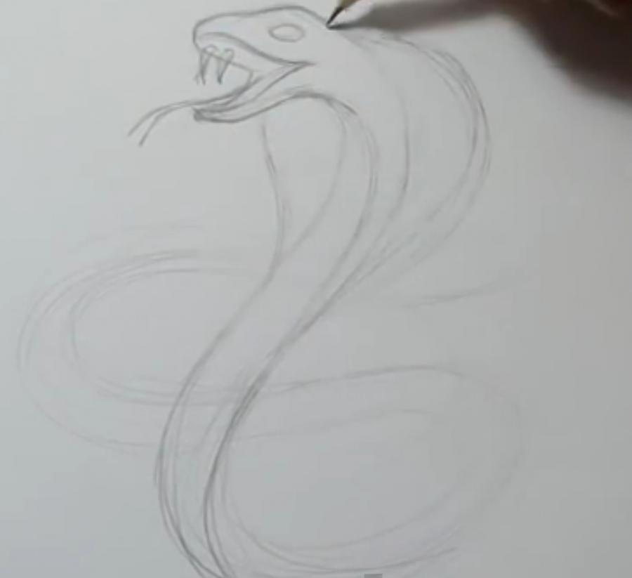 Рисуем татуировку змеи  на бумаге - шаг 2
