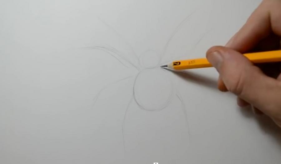 Рисуем татуировку паука - шаг 1