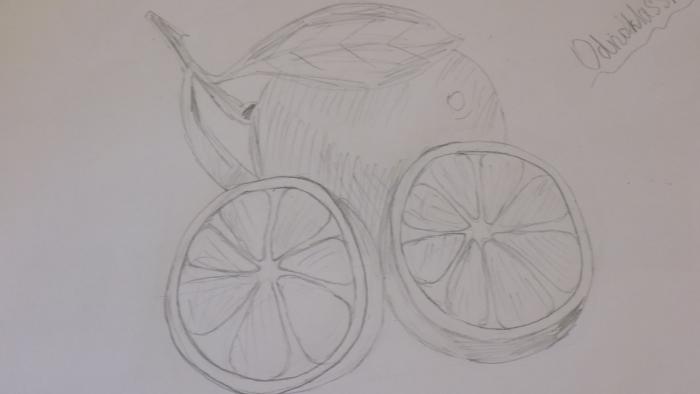 Фото Админ. к уроку