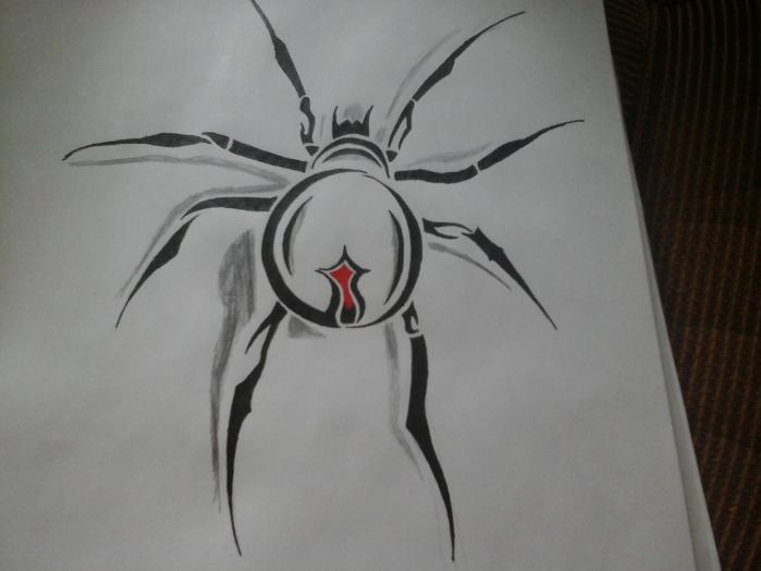 Фото Profi к уроку