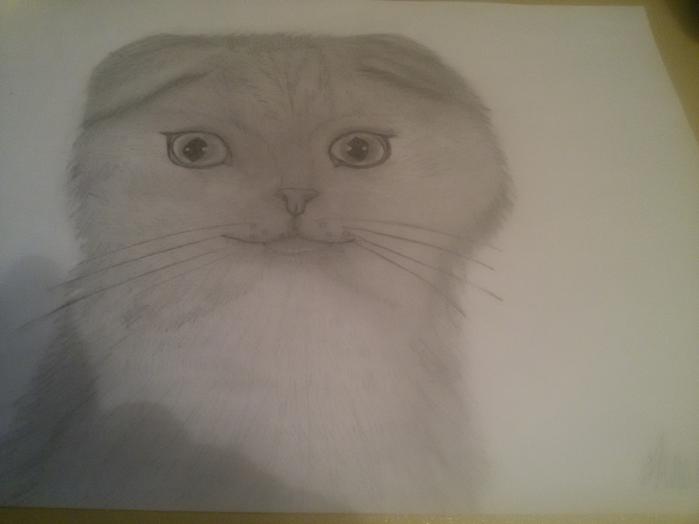 Фото Татьяна к уроку