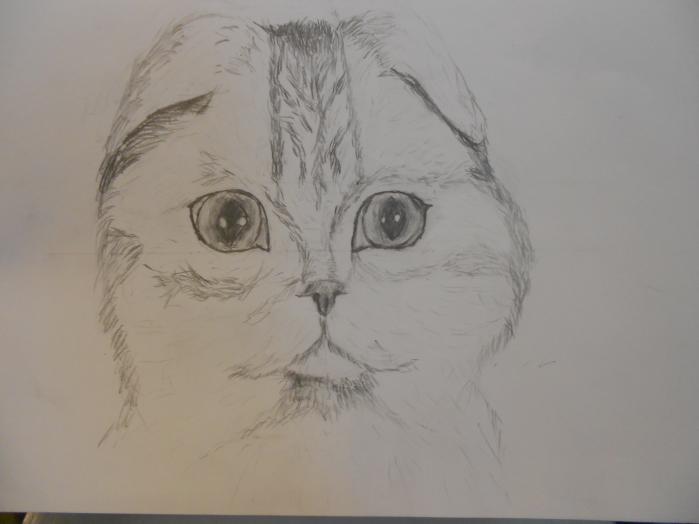 Фото Екатерина к уроку