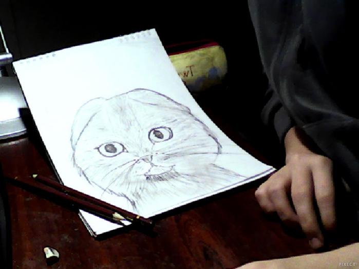 Фото КСЕНЯ к уроку