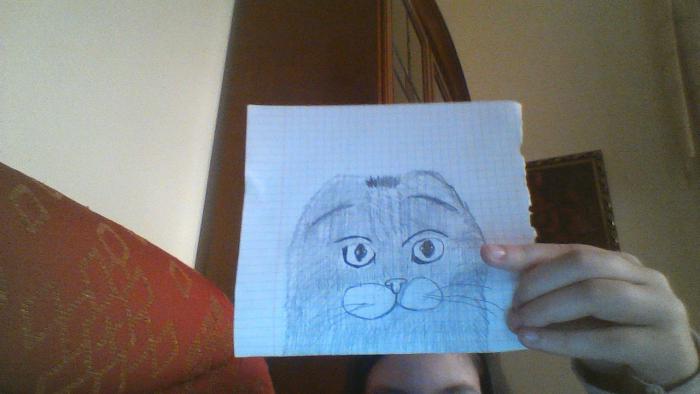 Фото не скажу к уроку