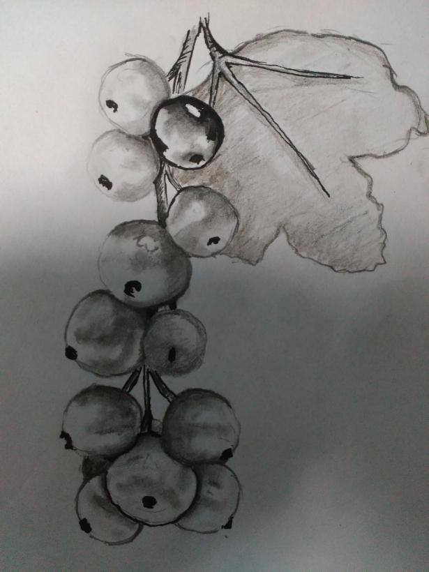 Фото 67904465477668884233 к уроку