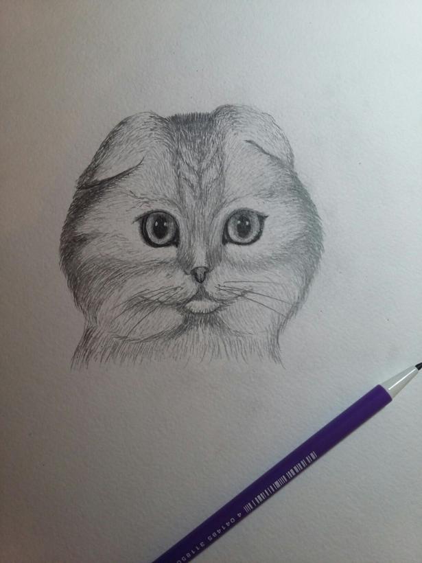 Фото karamelka к уроку