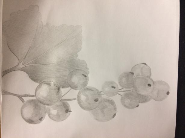 Фото Beelich к уроку