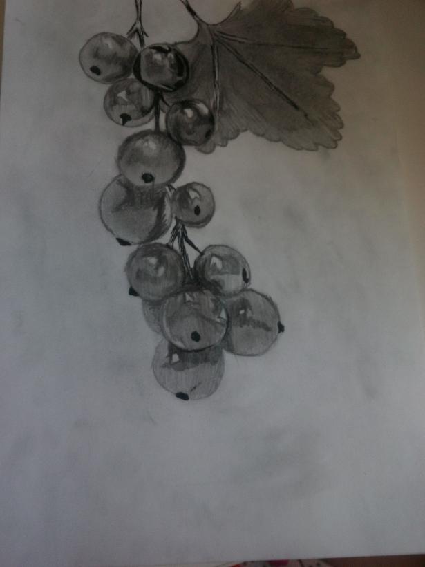 Фото Anisad к уроку