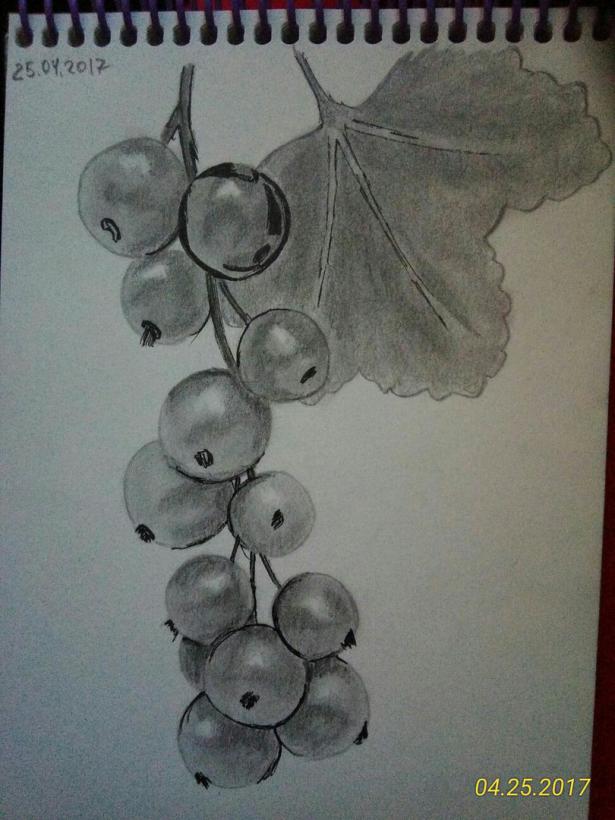 Фото Snezanasv к уроку