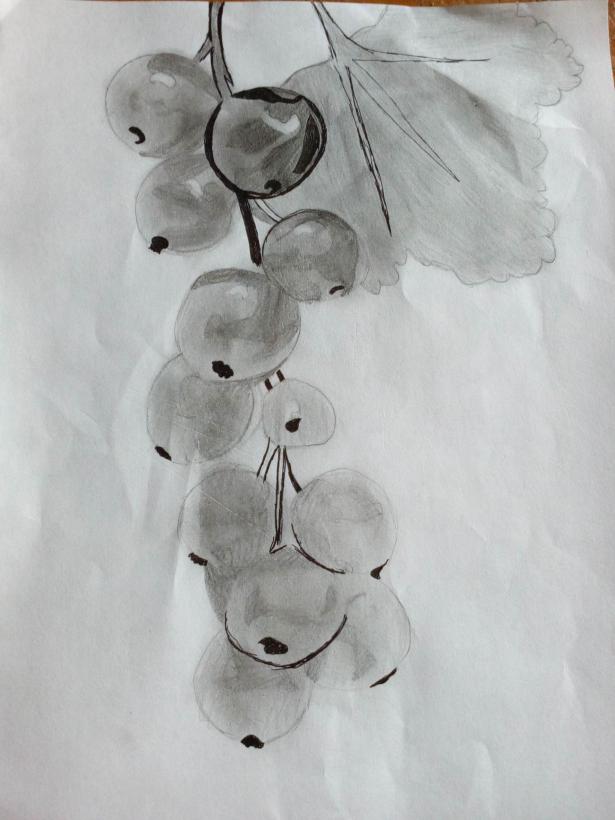 Фото cosmos к уроку