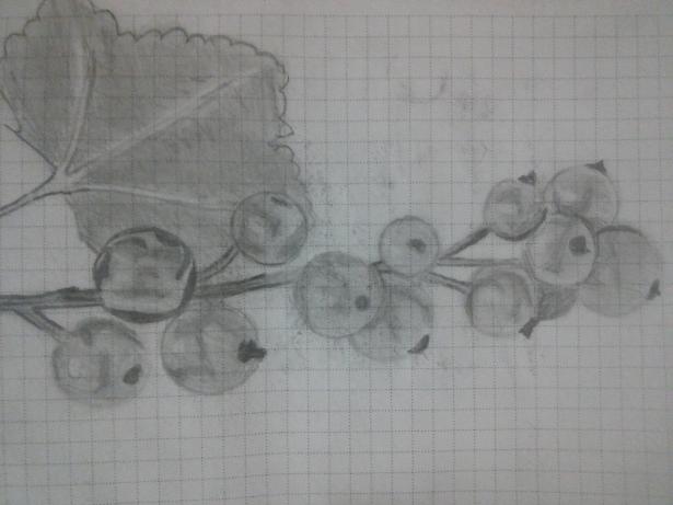 Фото Alexandraa к уроку