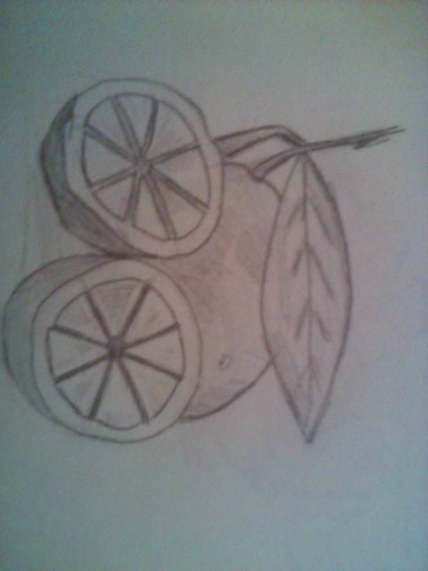 Фото -Salamandra- к уроку