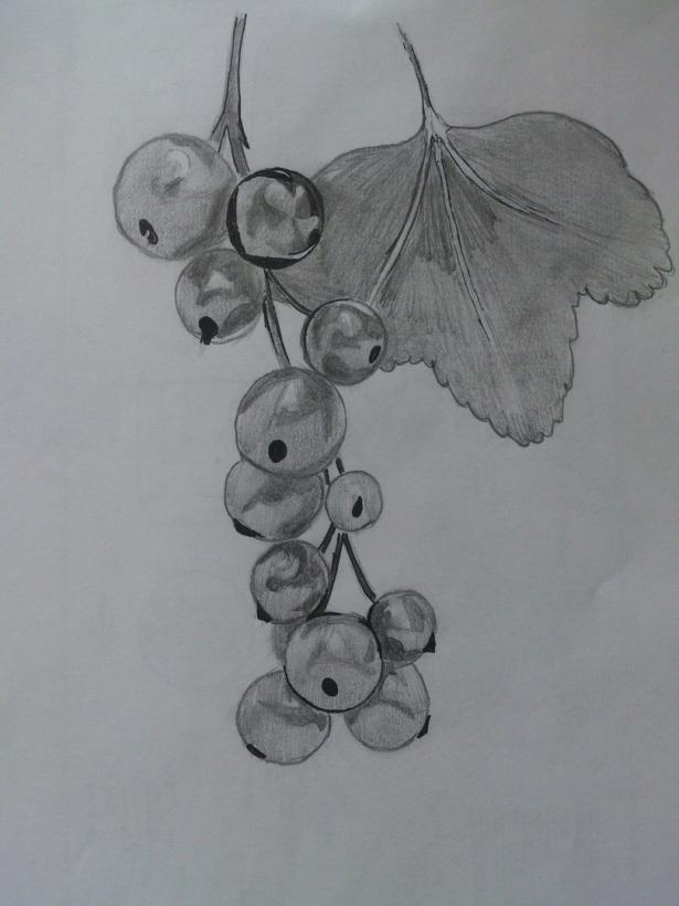 Фото Dima911 к уроку