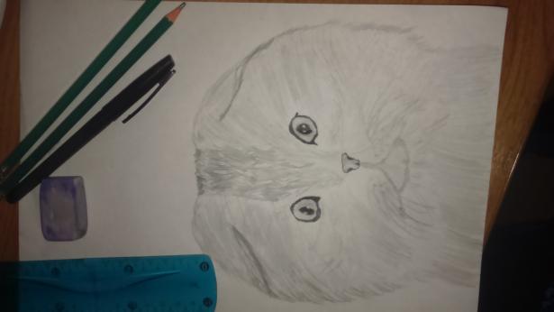 Фото like-draw к уроку